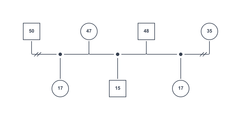 双方に連れ後がいるジェノグラムの例
